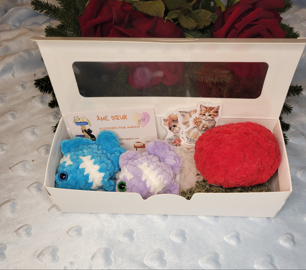 Petit coffret cadeau Saint-Valentin pour chat avec deux poissons faits main