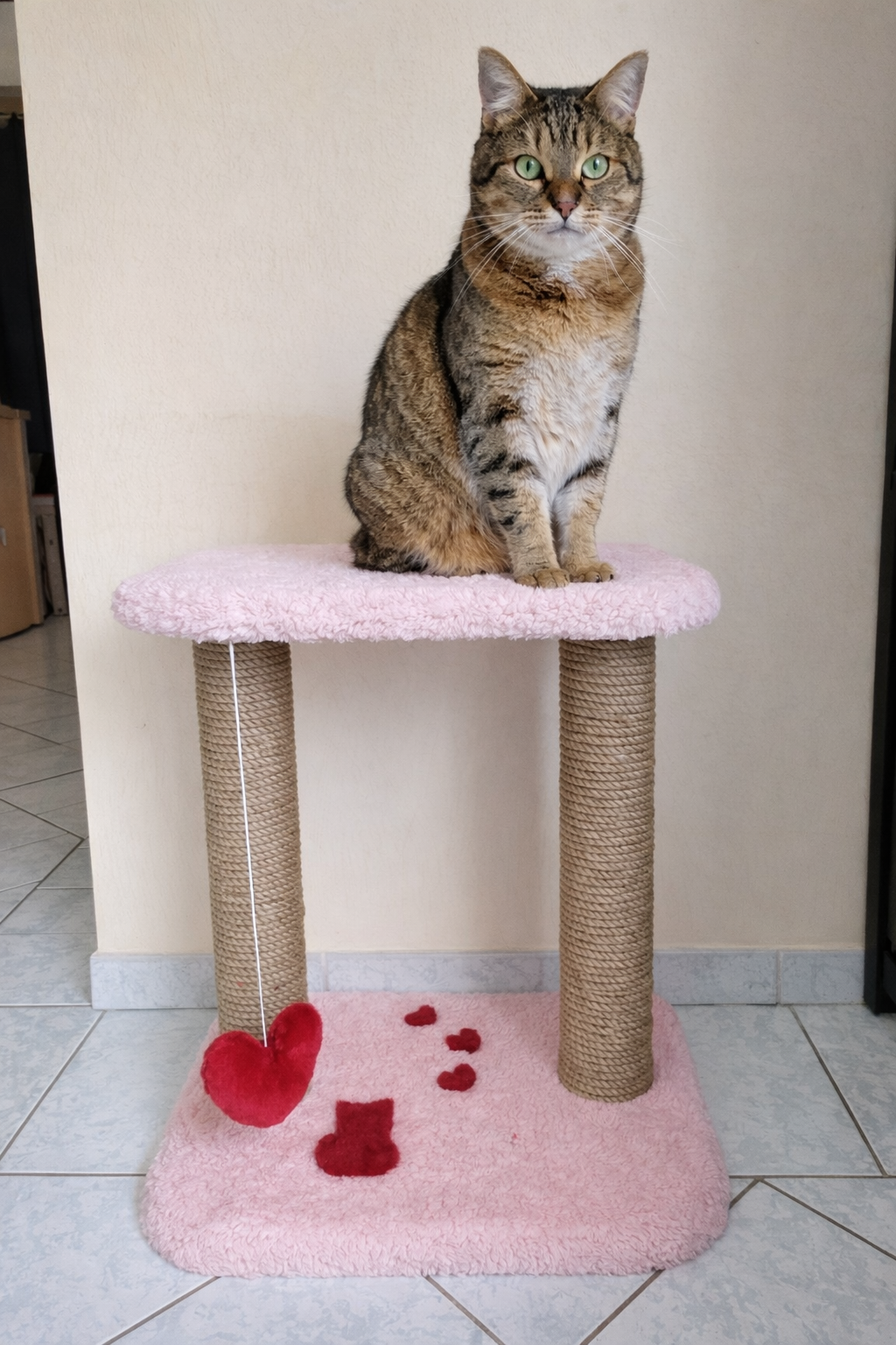 arbre à chat artisanal Modèle Amour avec griffoirs naturels