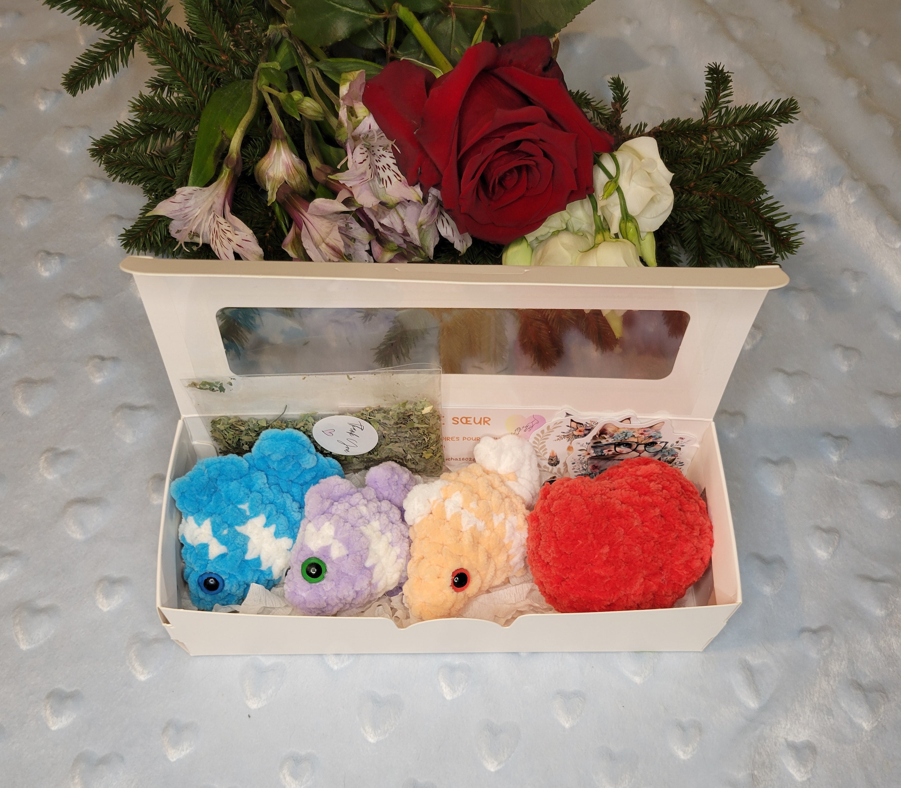 Coffret jouets pour chat avec herbe à chat et cœur offert