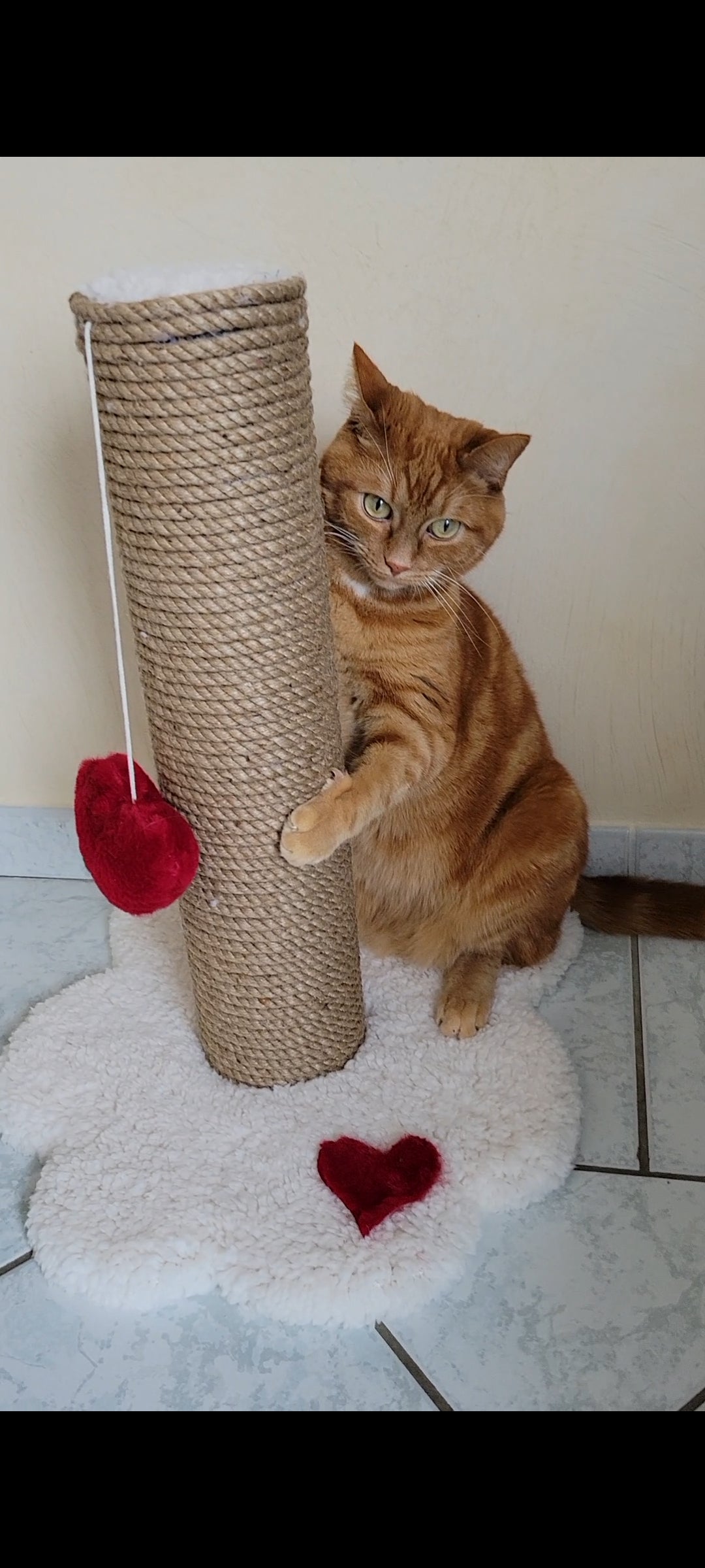 Arbre à chat fait main avec cœur décoratif Saint-Valentin
