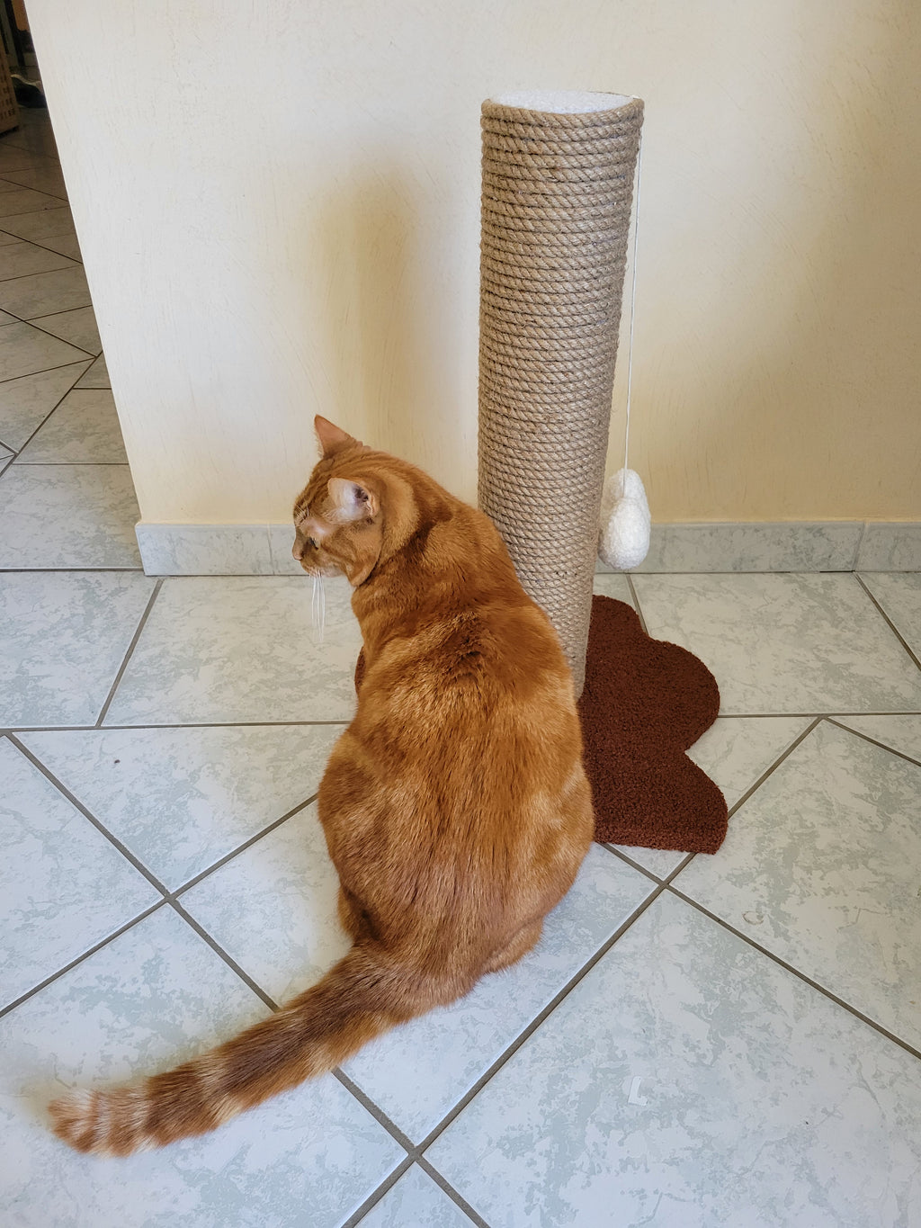 arbre à chat stable pour appartement moderne