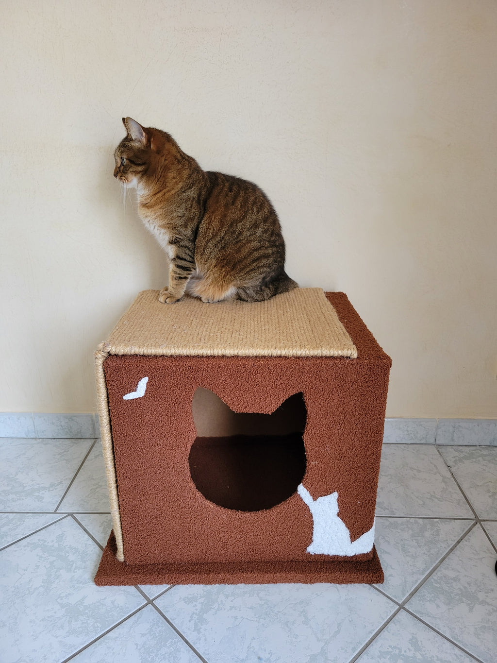 Détail du griffoir réversible fixé sur le côté de la maison