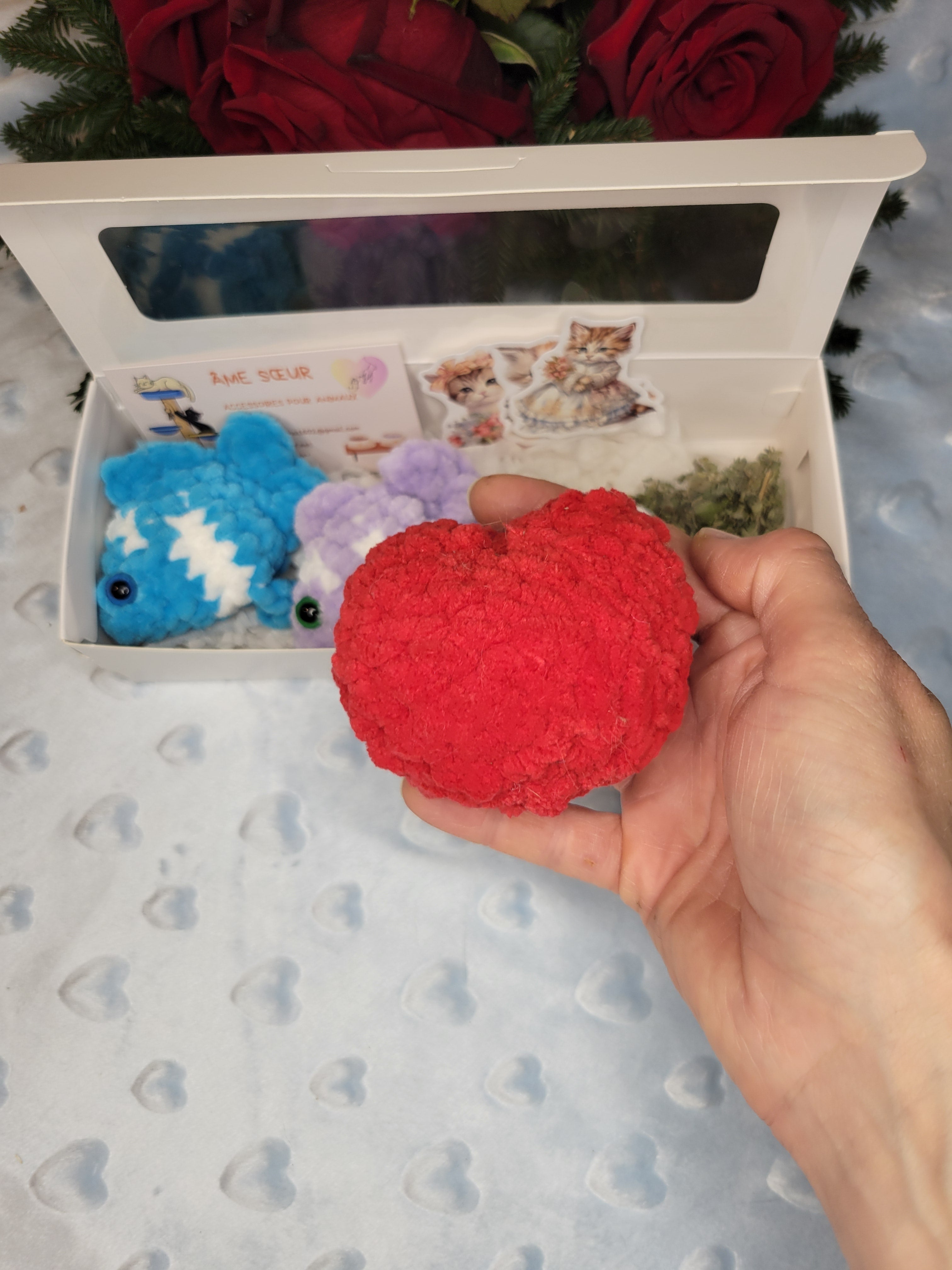 Coffret mignon pour chat avec jouets crochet et cœur offert