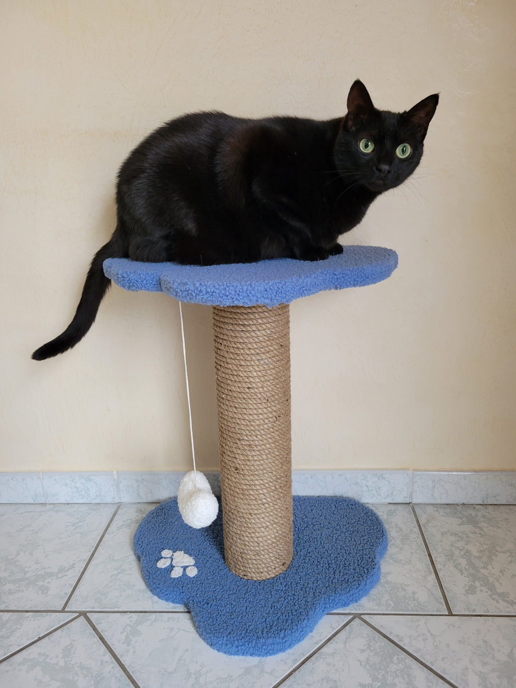 Griffoir pour chat fait main avec corde épaisse 12 cm et base stable