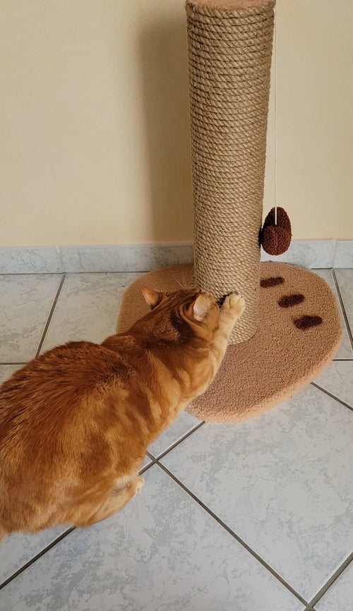 arbre a chat minimaliste artisanal