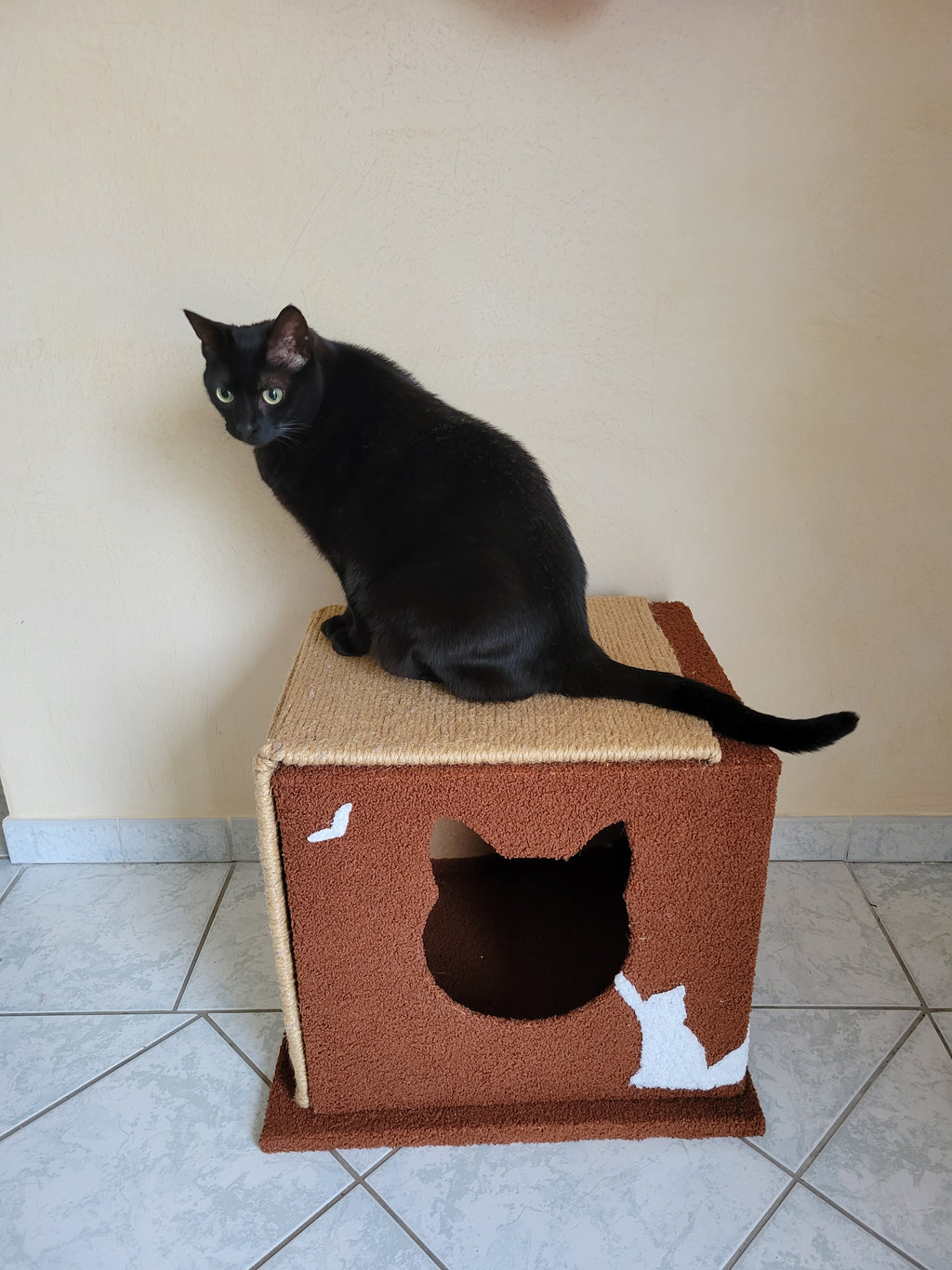 Plateforme stable 45x51 cm pour chat adulte