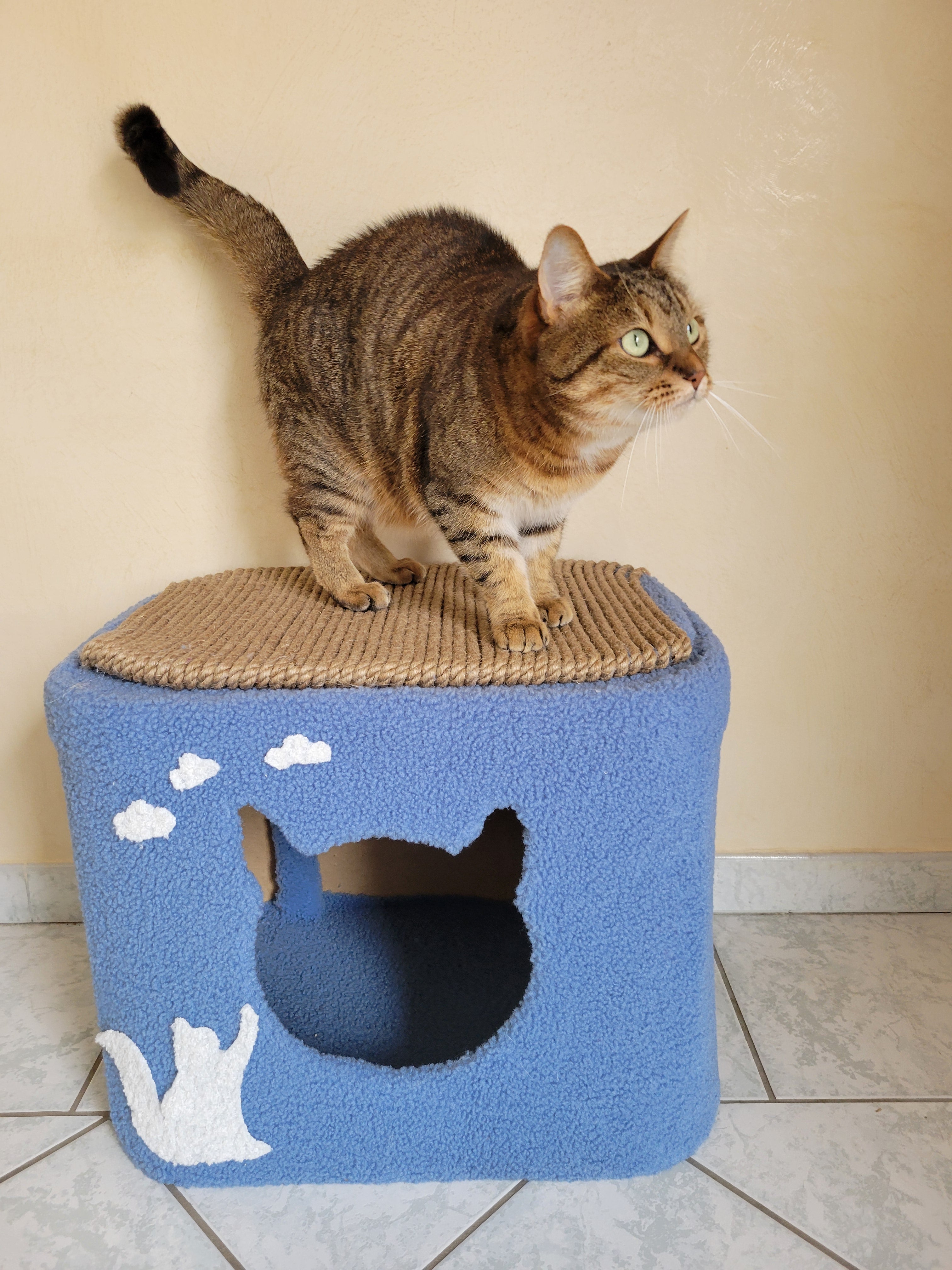 Maison pour chat compacte bleue avec ouverture en forme de tête de chat