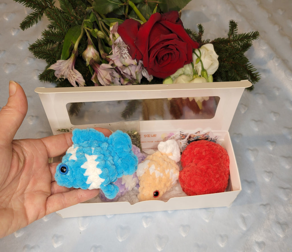 Coffret cadeau pour chat avec poissons faits main et cœur