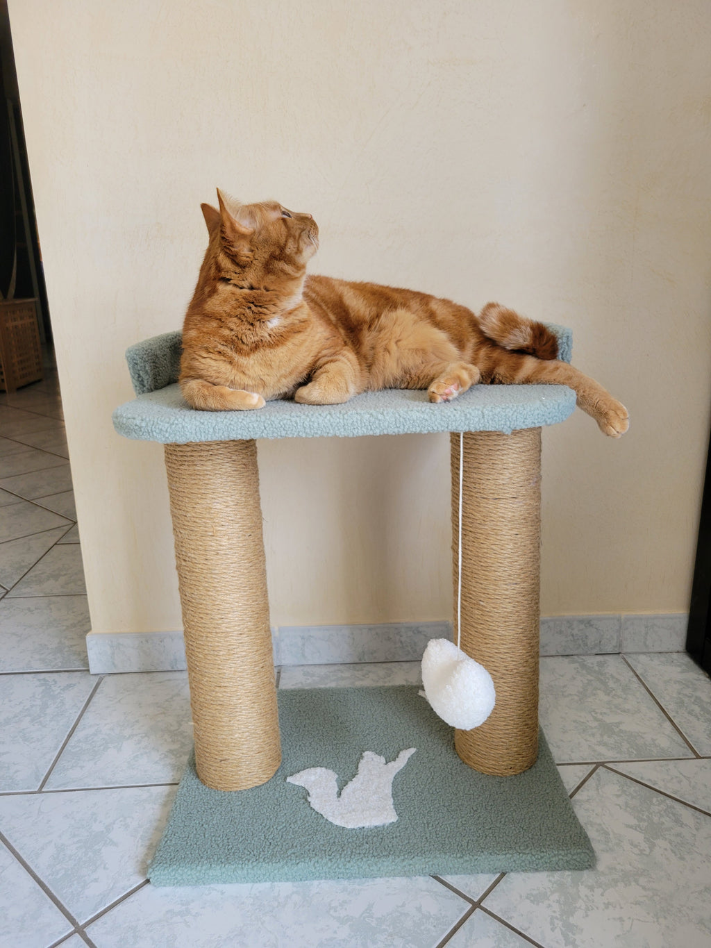 arbre à chat décoratif et fonctionnel pour chat maison