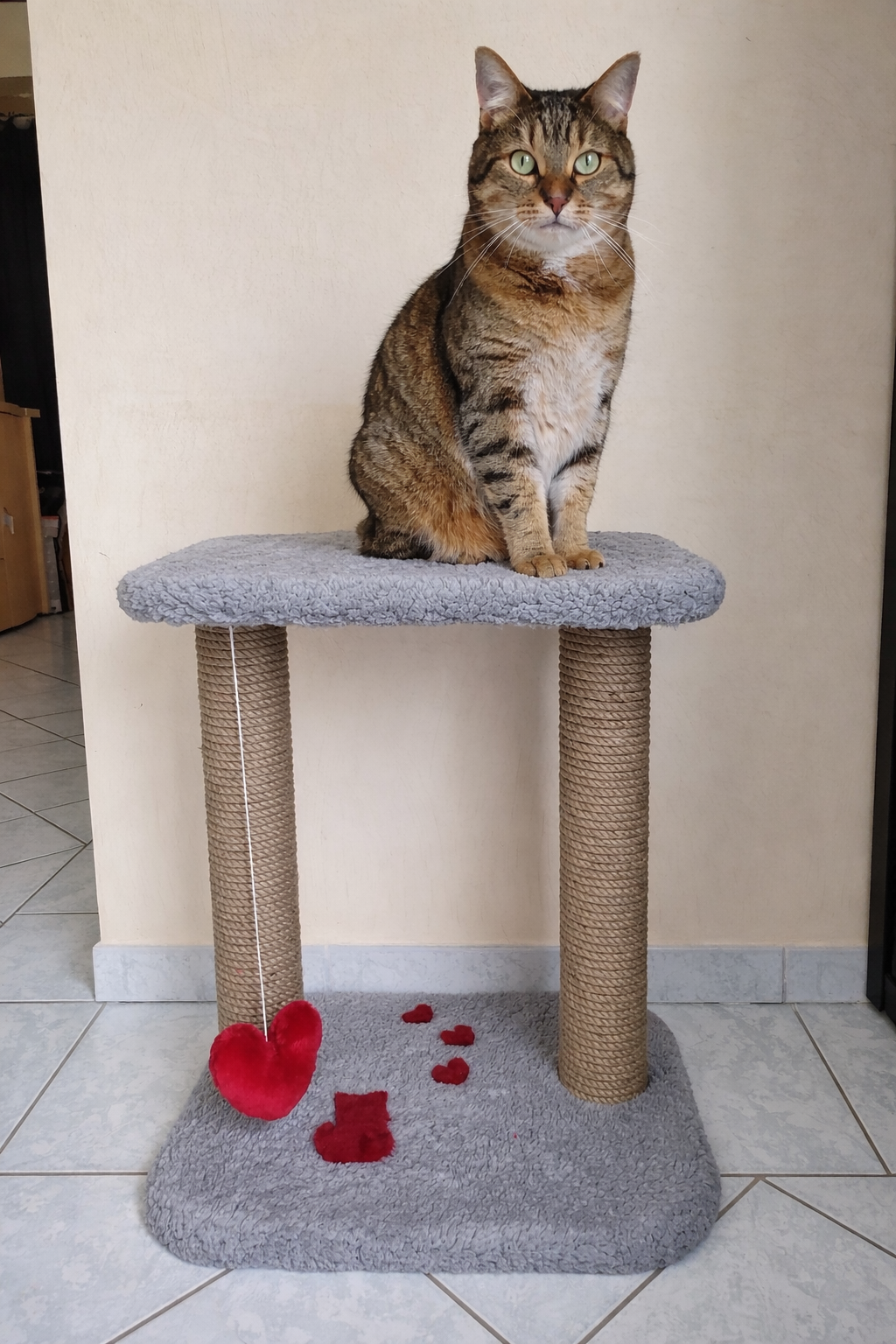 arbre à chat artisanal Modèle Amour avec griffoirs naturels