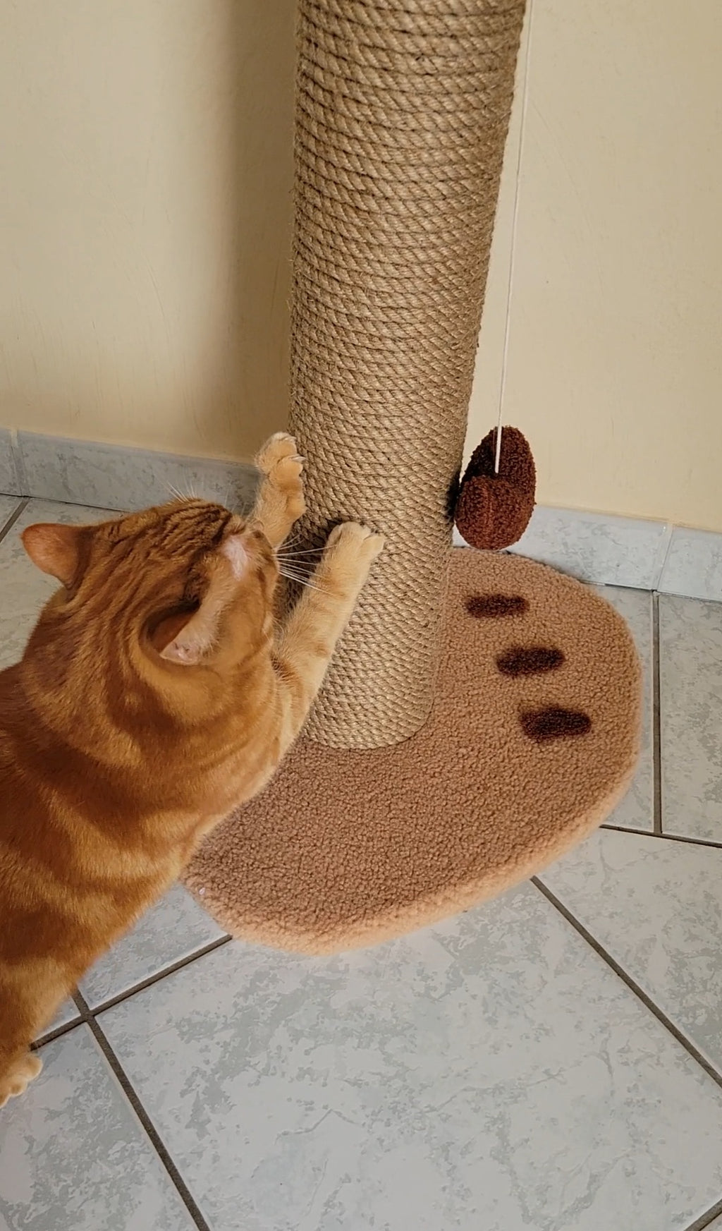 poteau griffoir chat stable fait main