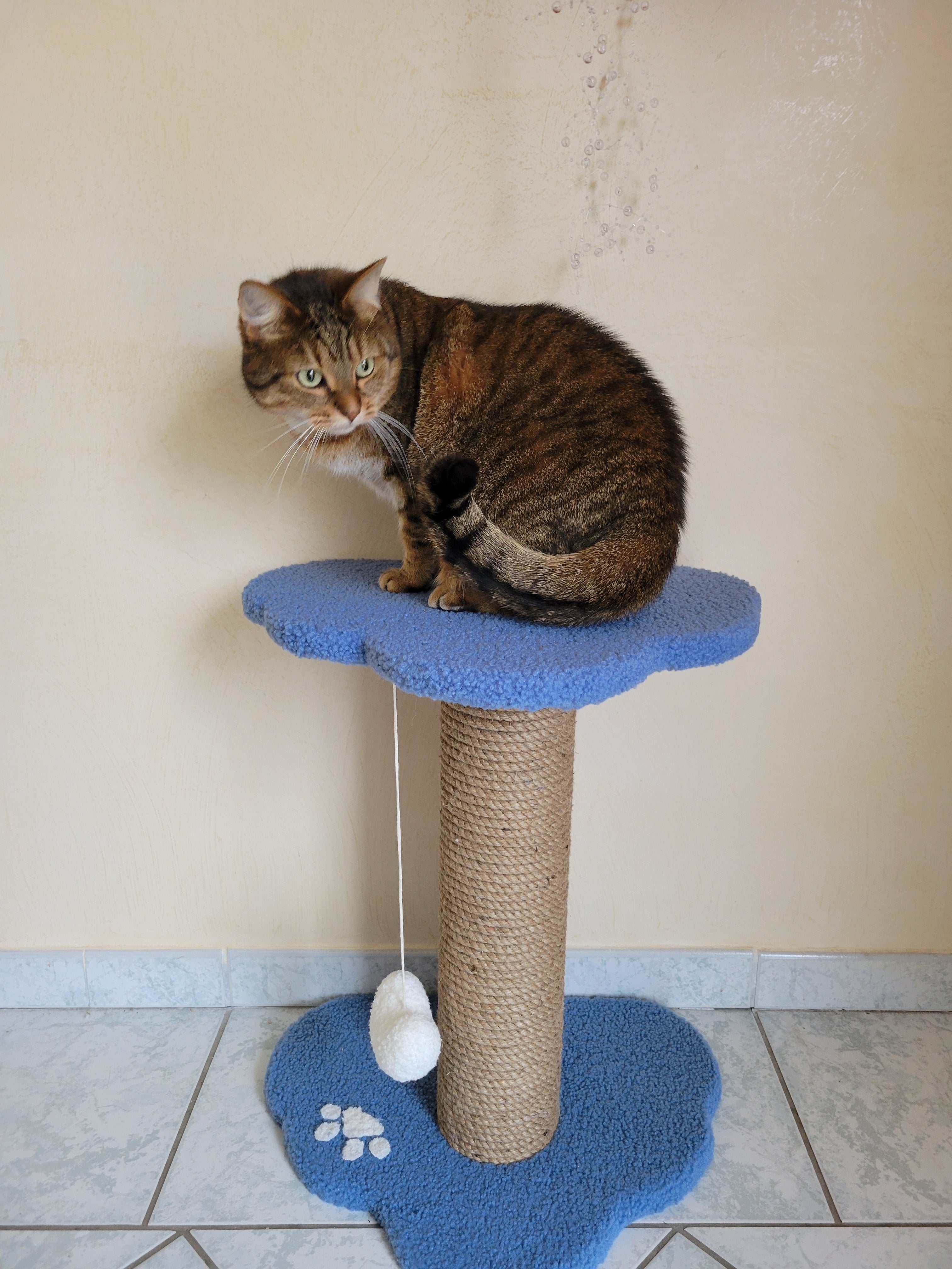 Arbre à chat compact avec plateforme douce pour chats d’intérieur