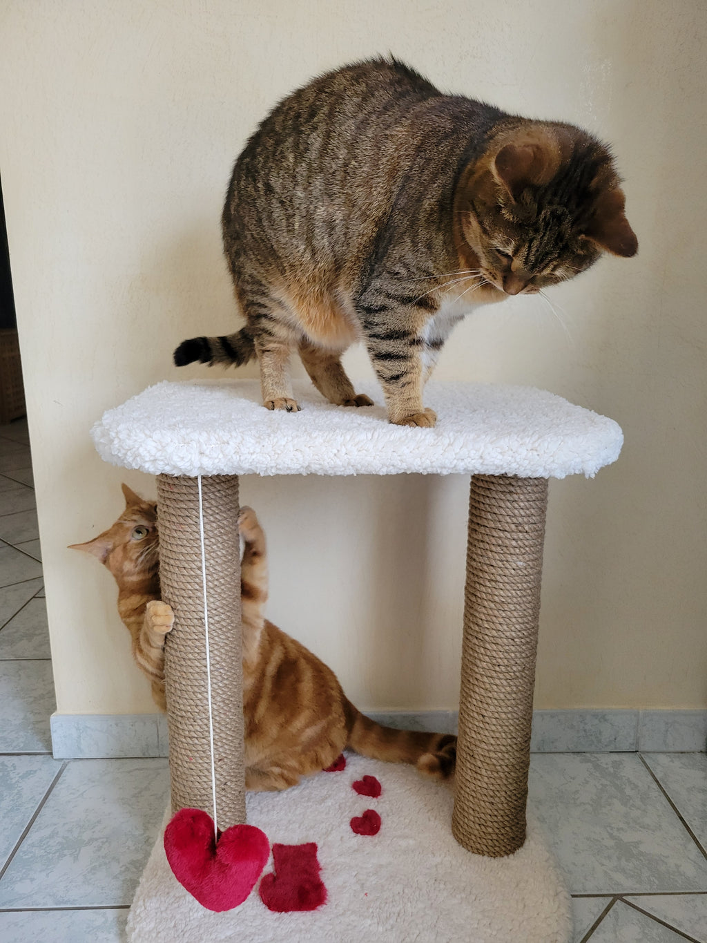 meuble pour chat Modèle Amour durable et stable