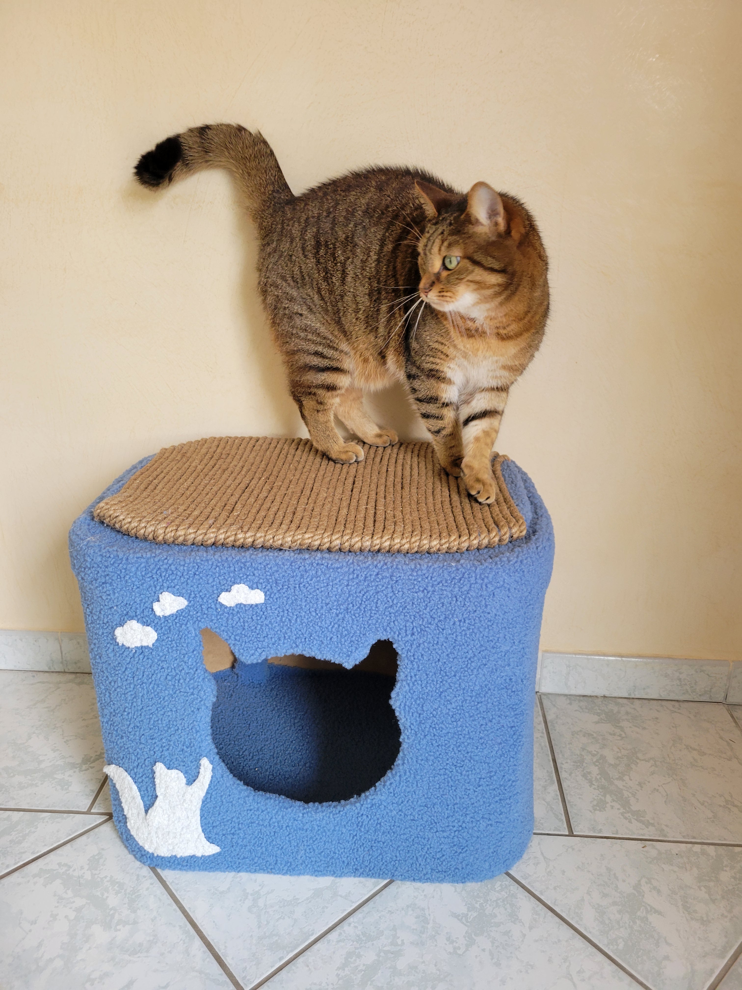 Intérieur maison pour chat en bois robuste